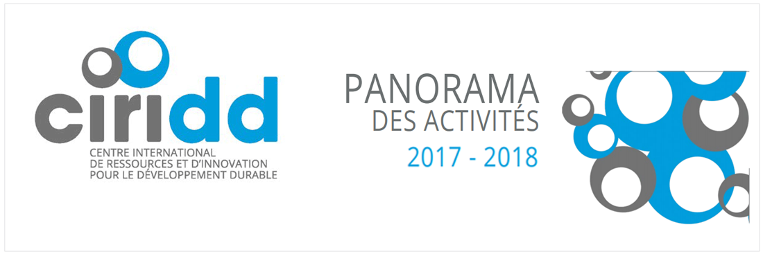 Bannière rapport d'activité 2017